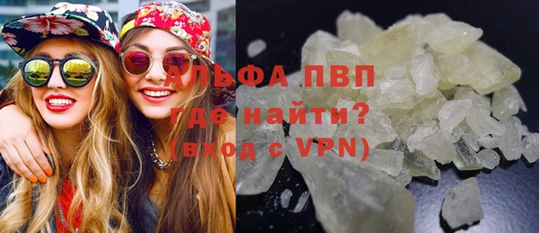 МДПВ Каменка